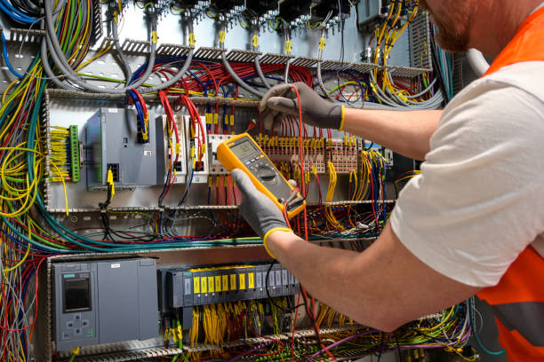 Best Electrical Repair Services  in Braska City, NE