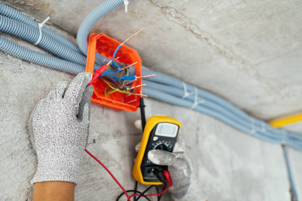 Best Ceiling Fan Installation Electrician  in Braska City, NE